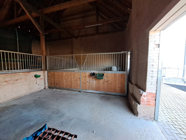 Einstellmöglichkeit für 2 Pferde