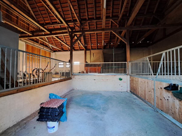 Einstellmöglichkeit für 2 Pferde